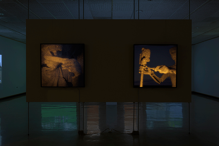 Certainties Installation View