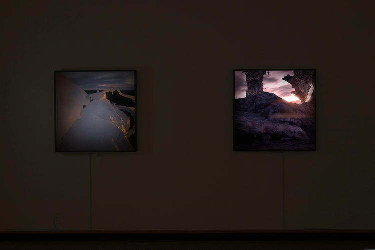 Certainties Installation View