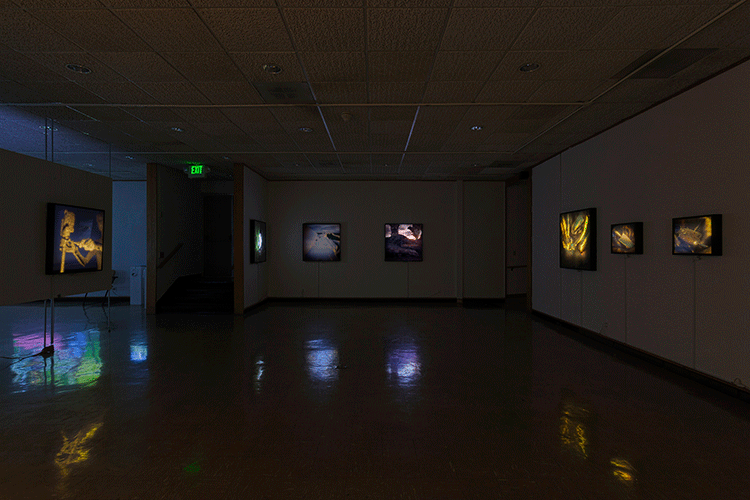Certainties Installation View