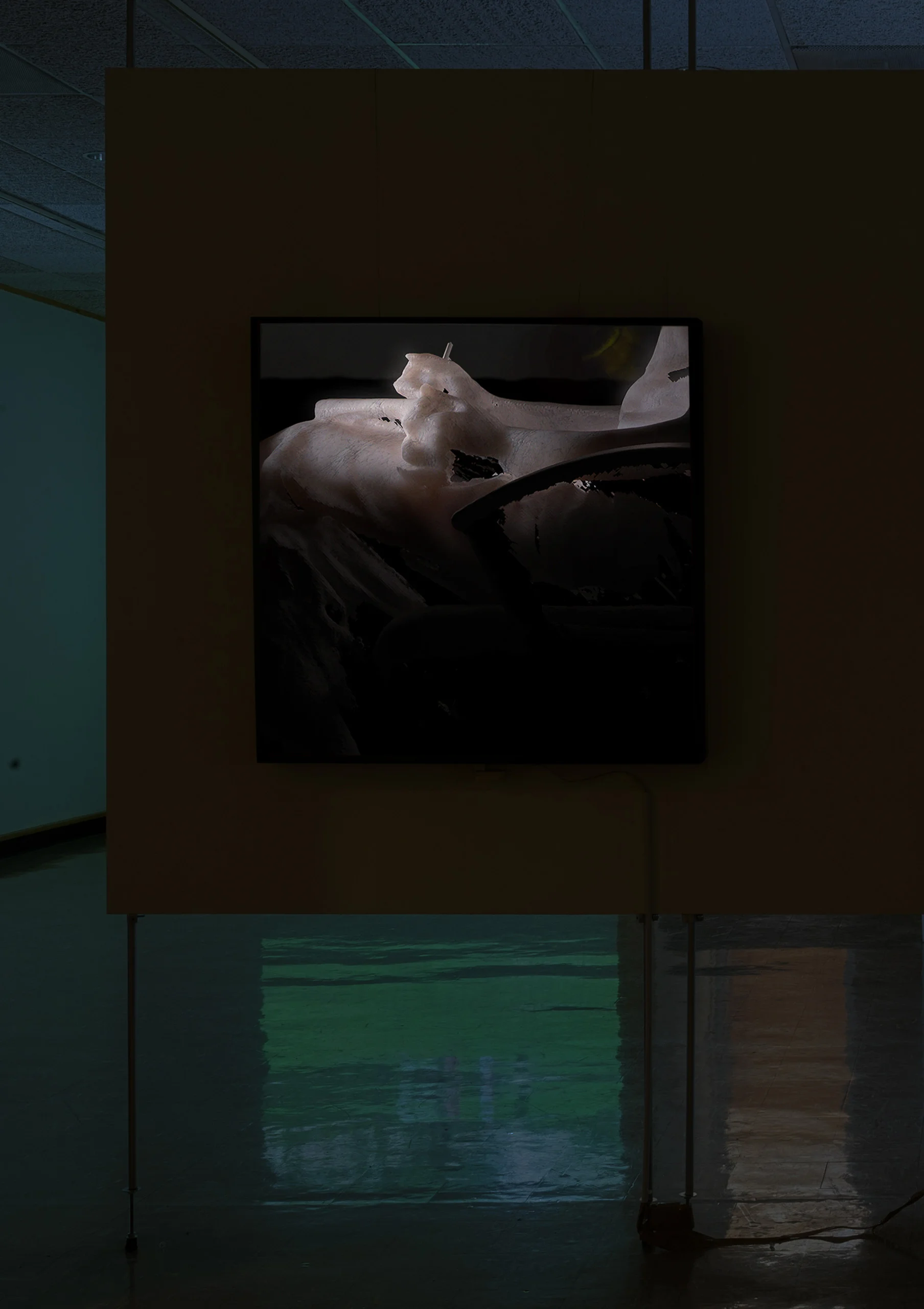 Certainties Installation View