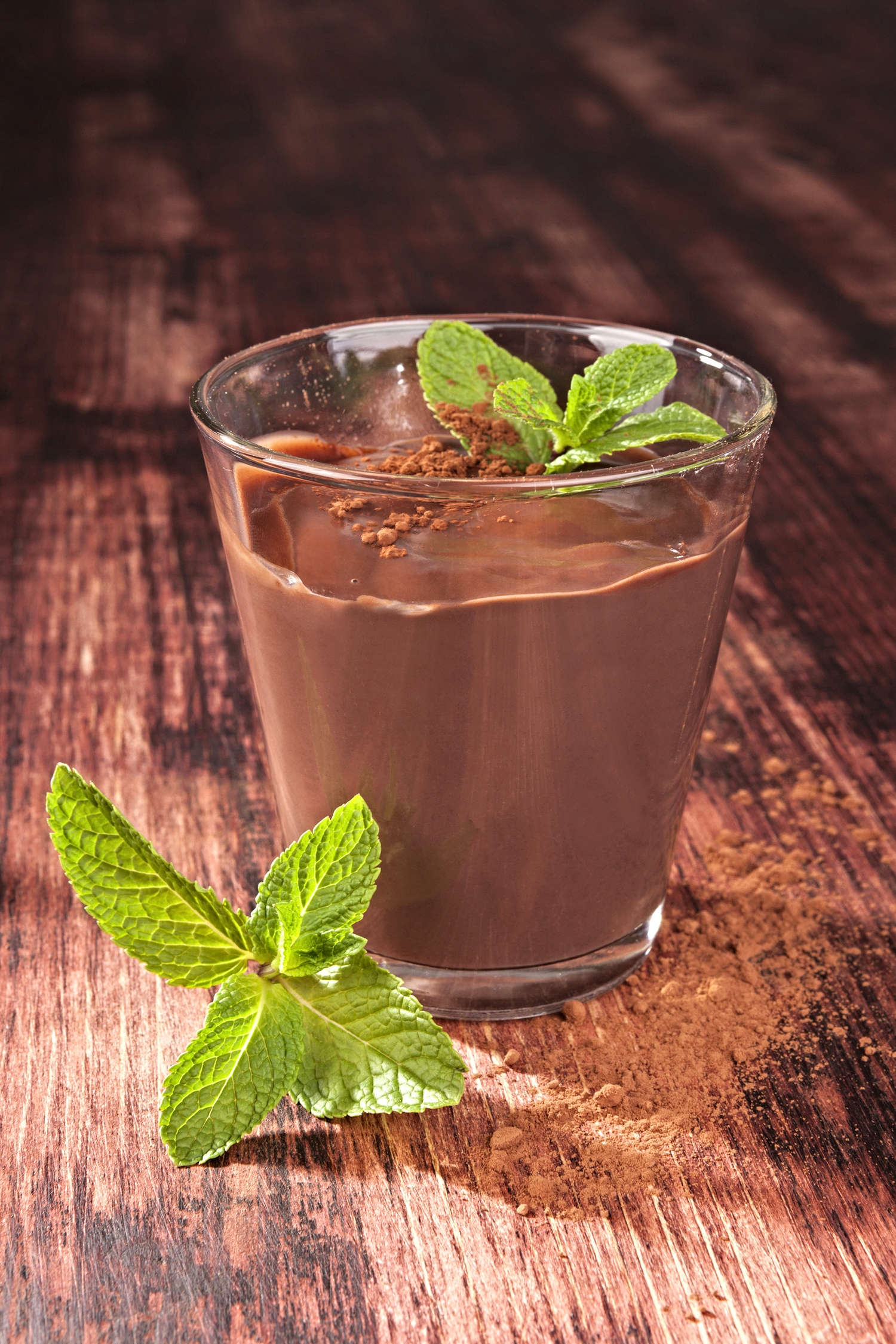 Protein Mint Chocolate Pudding