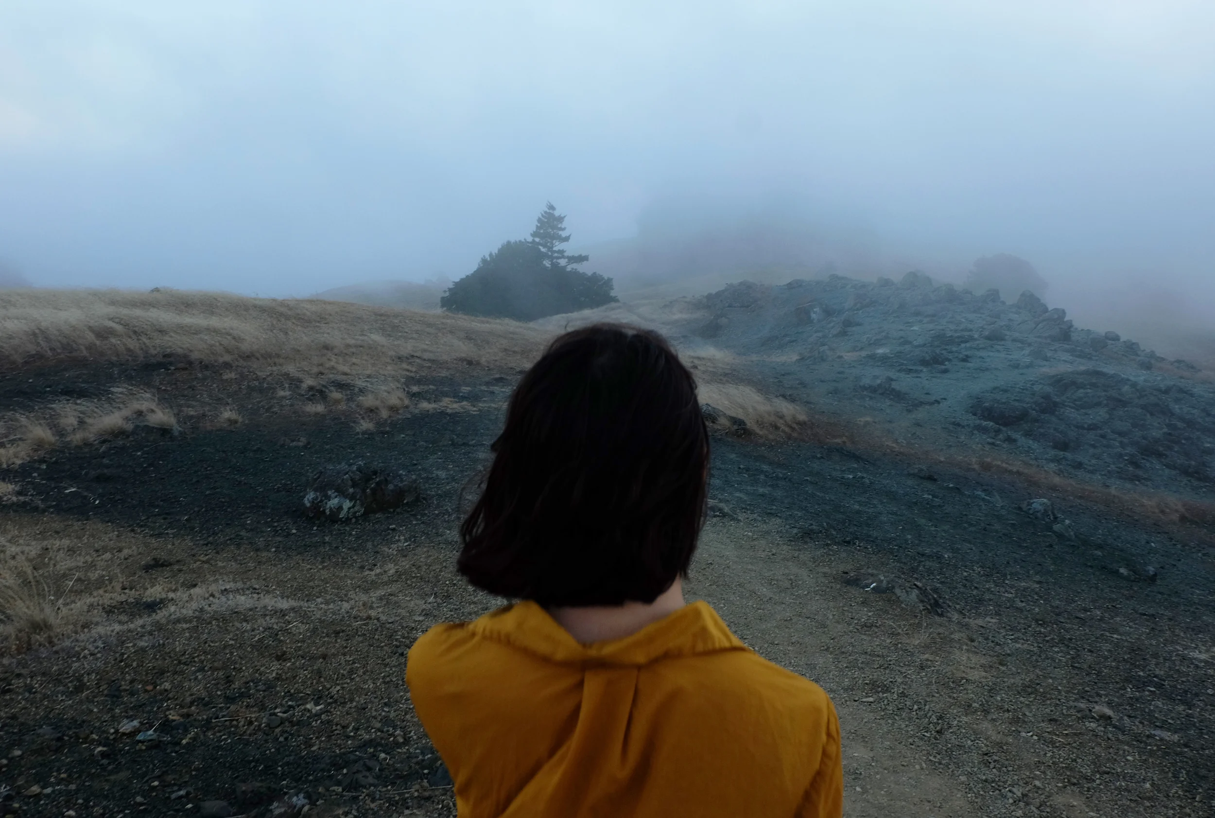photos by Joshua Han