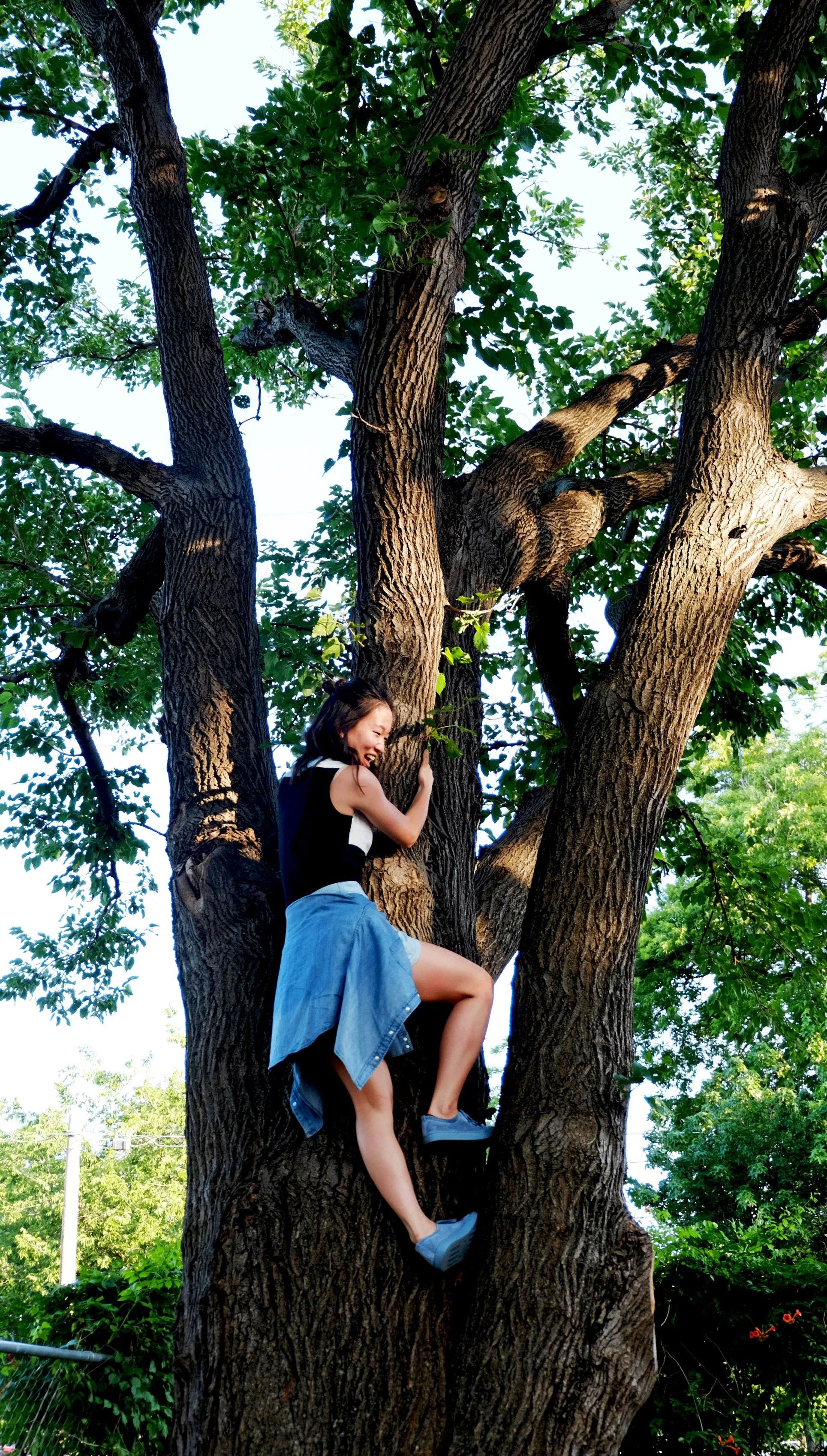 In Dallas I ...almost fell off a tree.
