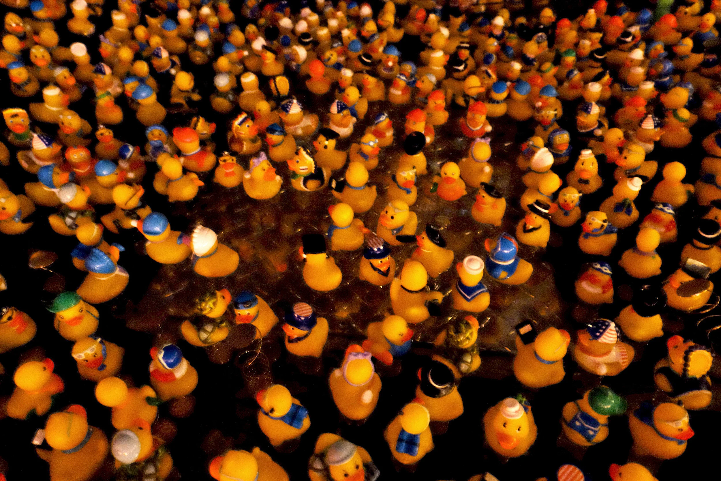 In Dallas I ...counted ducks at the Truck Yard .