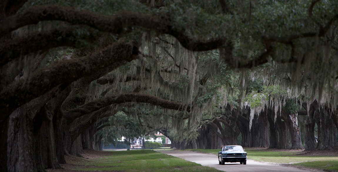 lwlm_oaks_2570.jpg