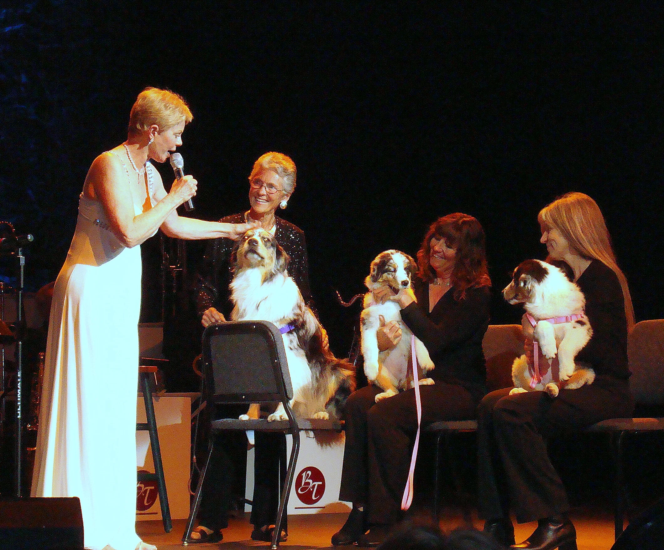  Top to bottom.....My Big Band Concert at Yavapai College Performance Hall here in Prescott in 2011.&nbsp; Singing "Look at that Face" to my three dogs Smoky (with Penny Pape), Bebop (with Kathy Bryan) and Lula (with Carol Sutton). 