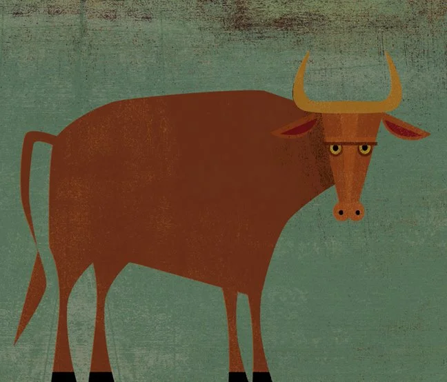 bull.jpg