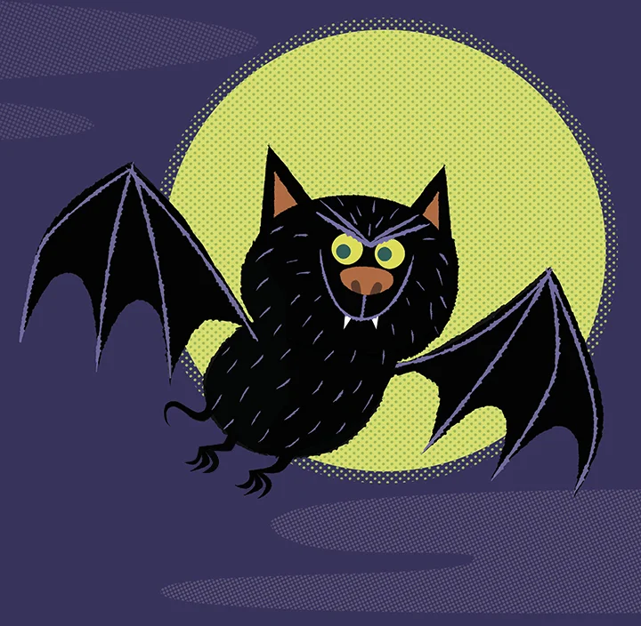 batty.jpg