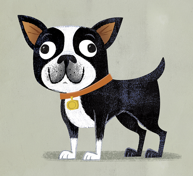 boston terrier.jpg
