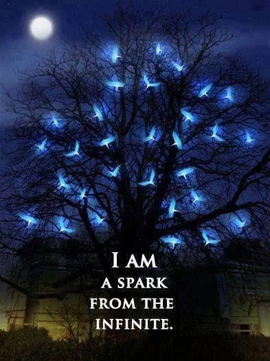 I am a spark.jpg
