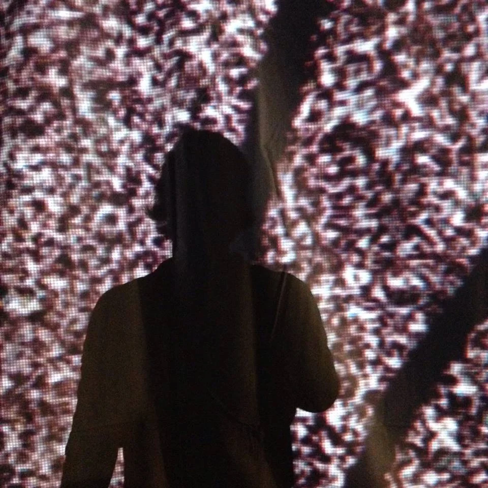 Shadow Static