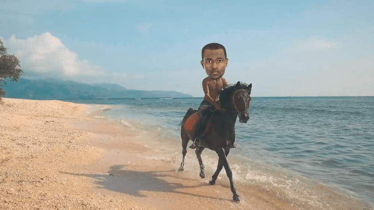 You Might be an Applegatarian-high (1) copy.gif