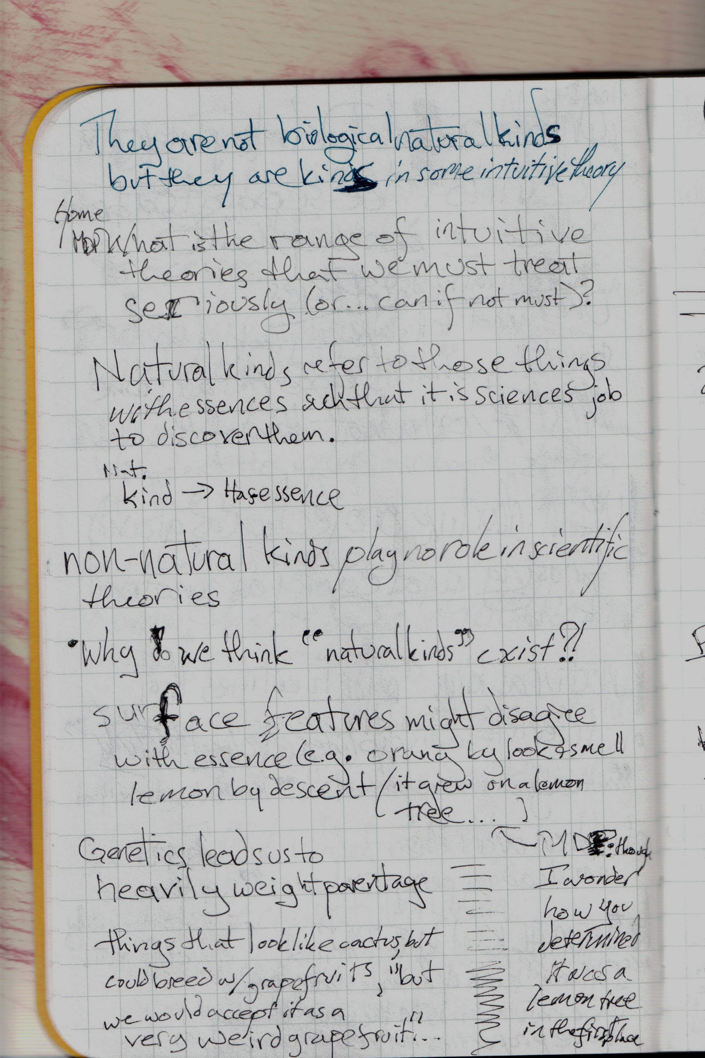 Developing Developments 17.png