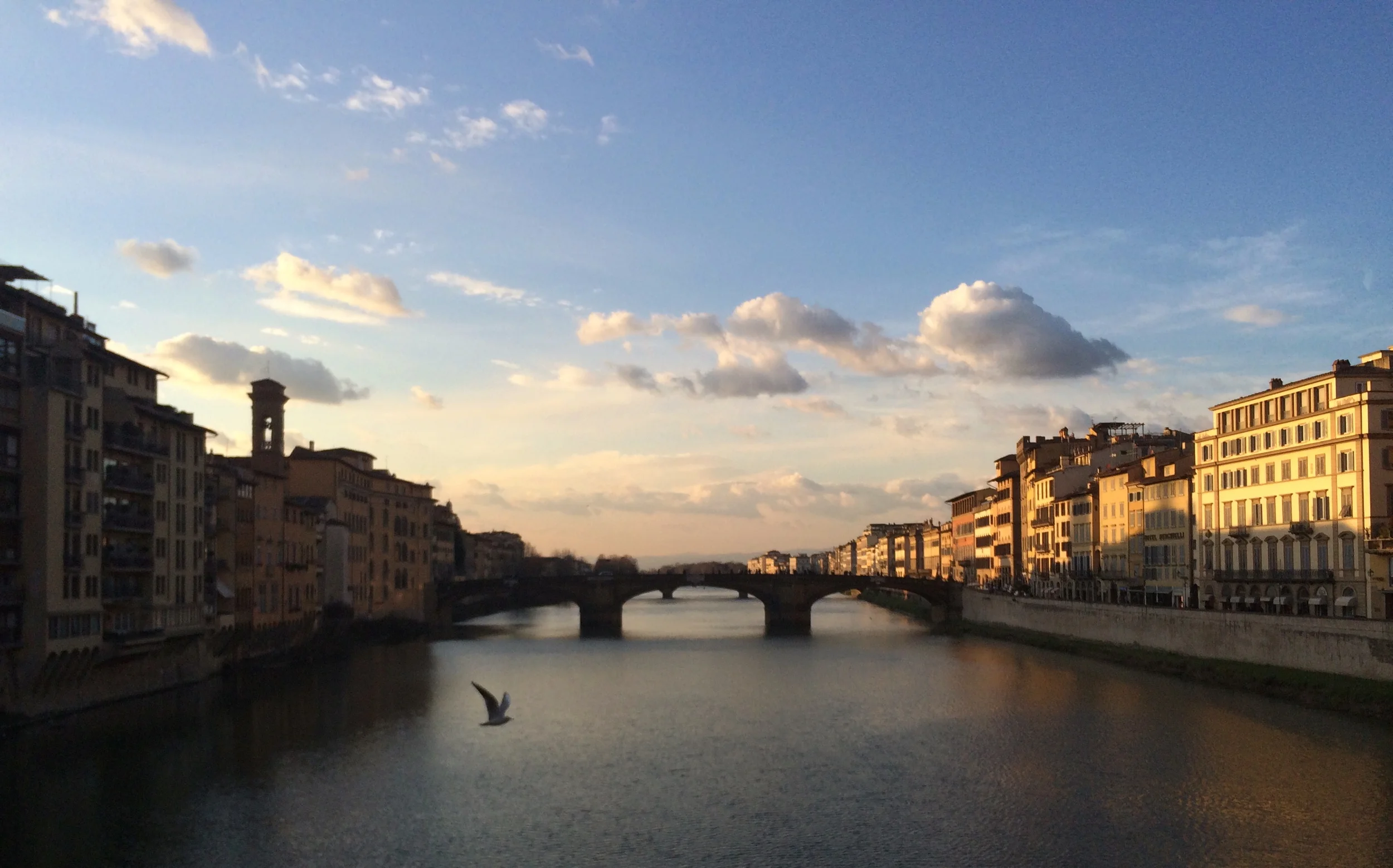 IMG_3210.jpeg