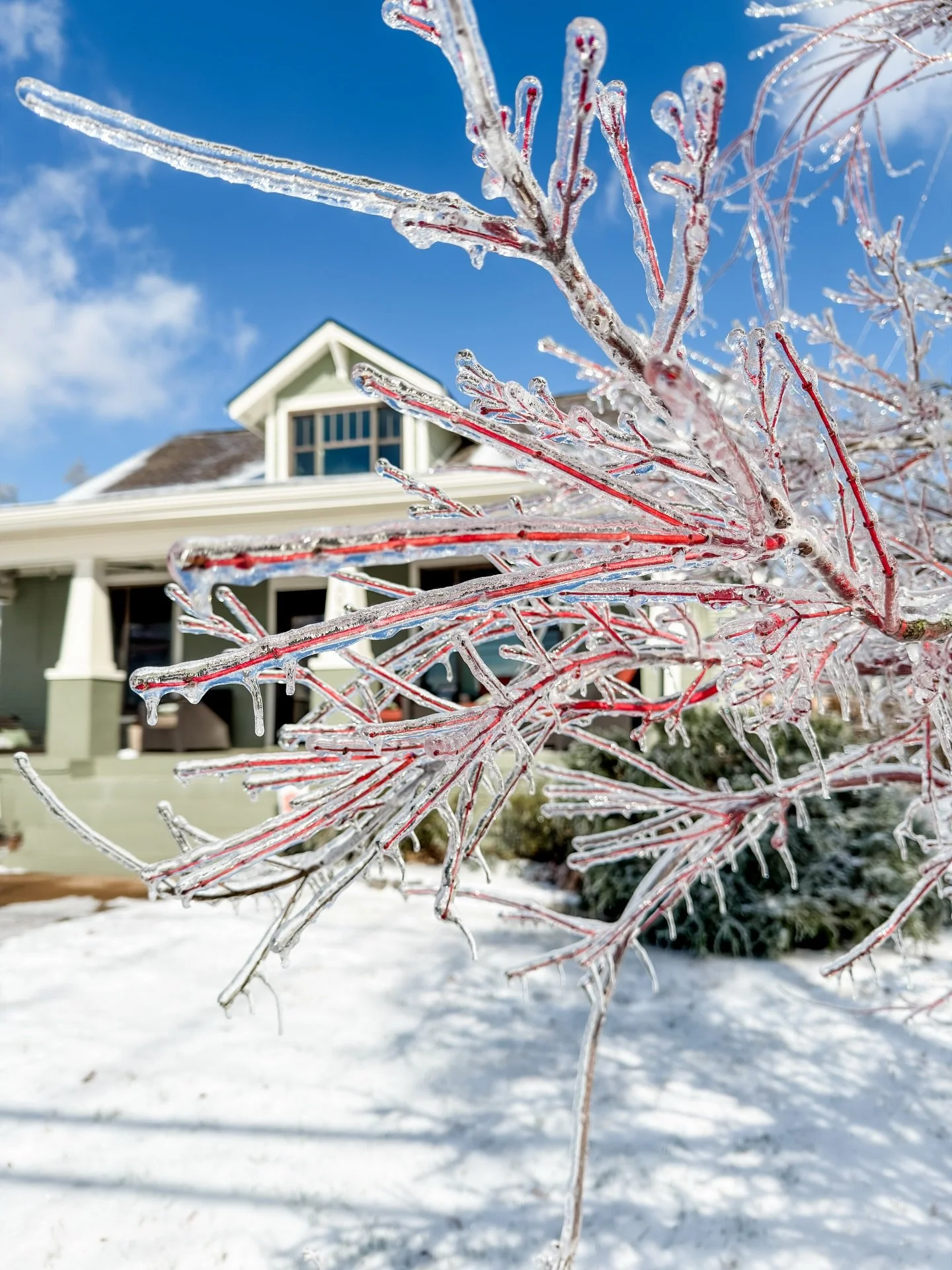 Who knew we&rsquo;d have &ldquo;survive an extended power outage during an icepocalpyse&rdquo; on our bingo card for 2026!

I&rsquo;m fairly confident that 197 hours without electricity is a new record for me&mdash;and that&rsquo;s saying something, 