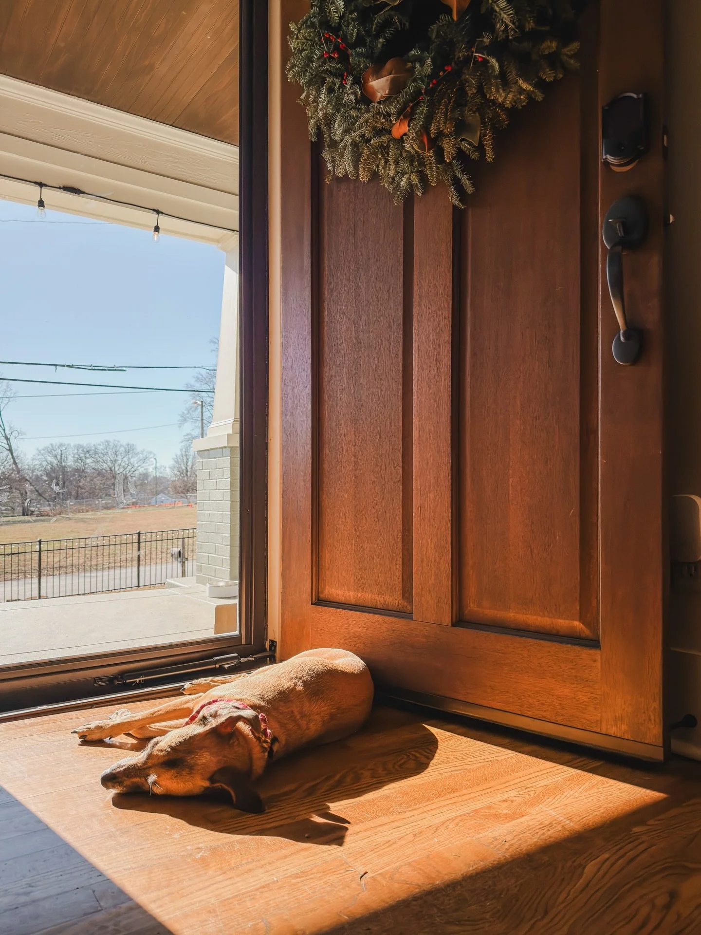 This sunshine has been so needed. By all of us. 

What an unexpected gift on the shortest day of the year&hellip; giving us hope that the sun always returns, no matter how long the night.