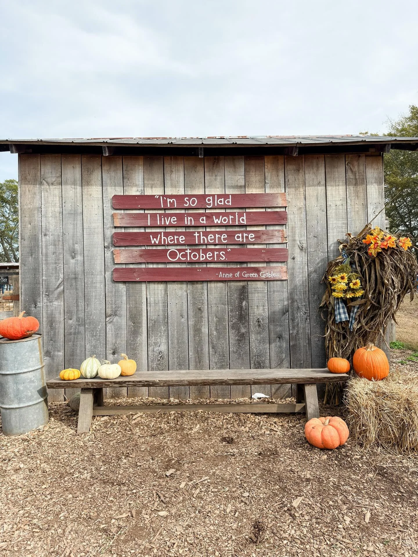 Autumn out here reminding me once again that there&rsquo;s beauty in letting go&hellip;