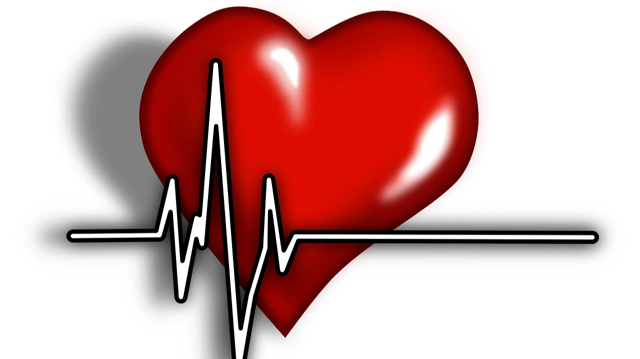 cardiac-156059_1280.jpg