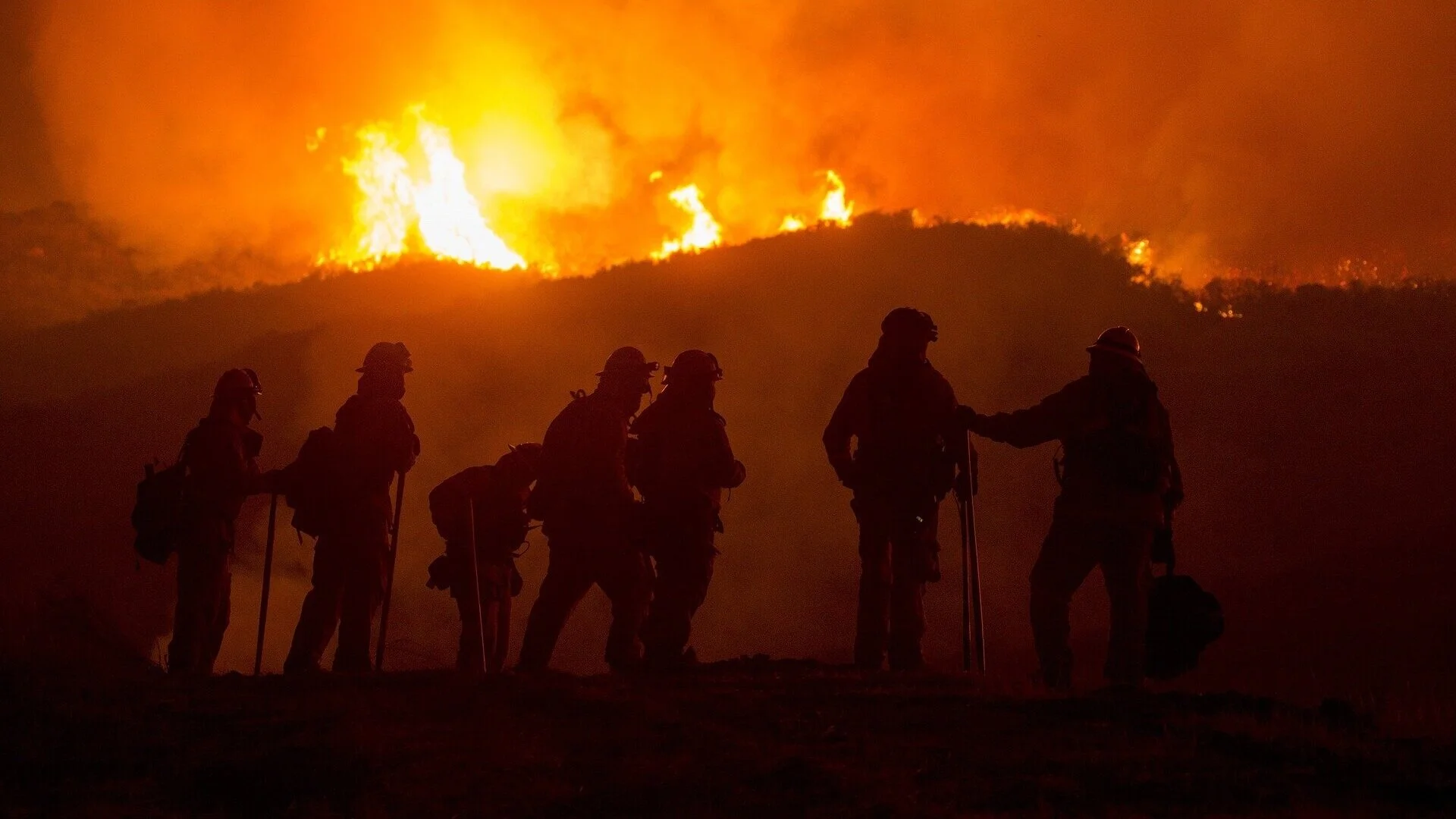forest-fire-3694491_1920.jpg