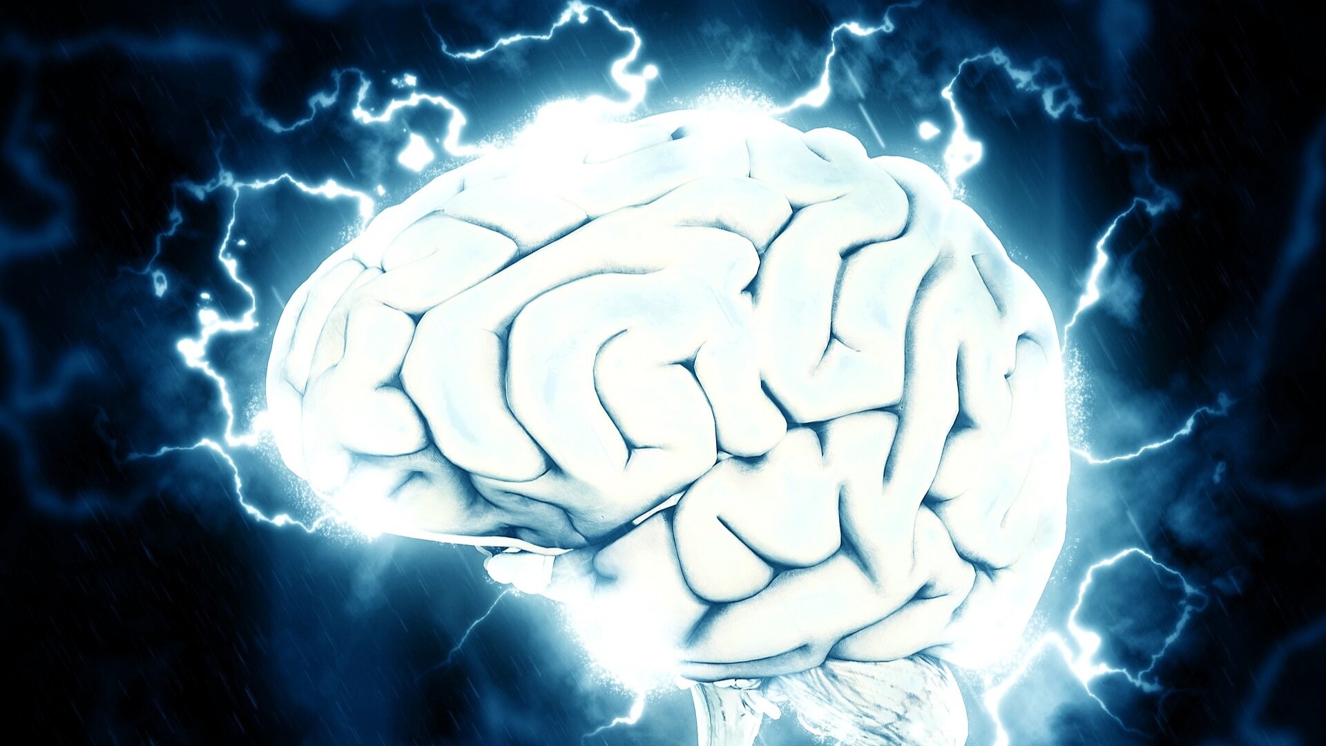 brain-1845962_1920.jpg