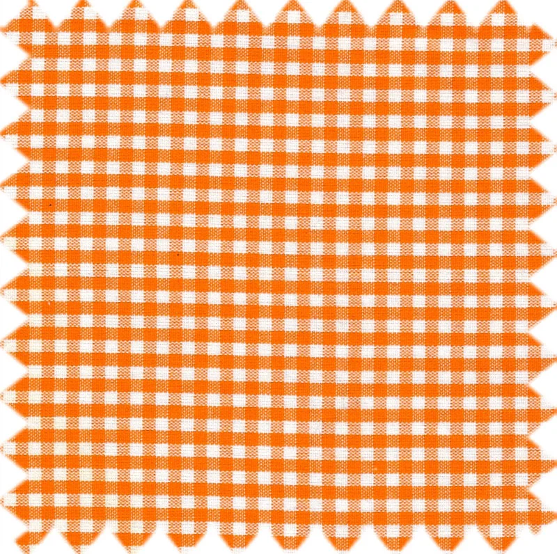 Small Gingham Orange.jpg