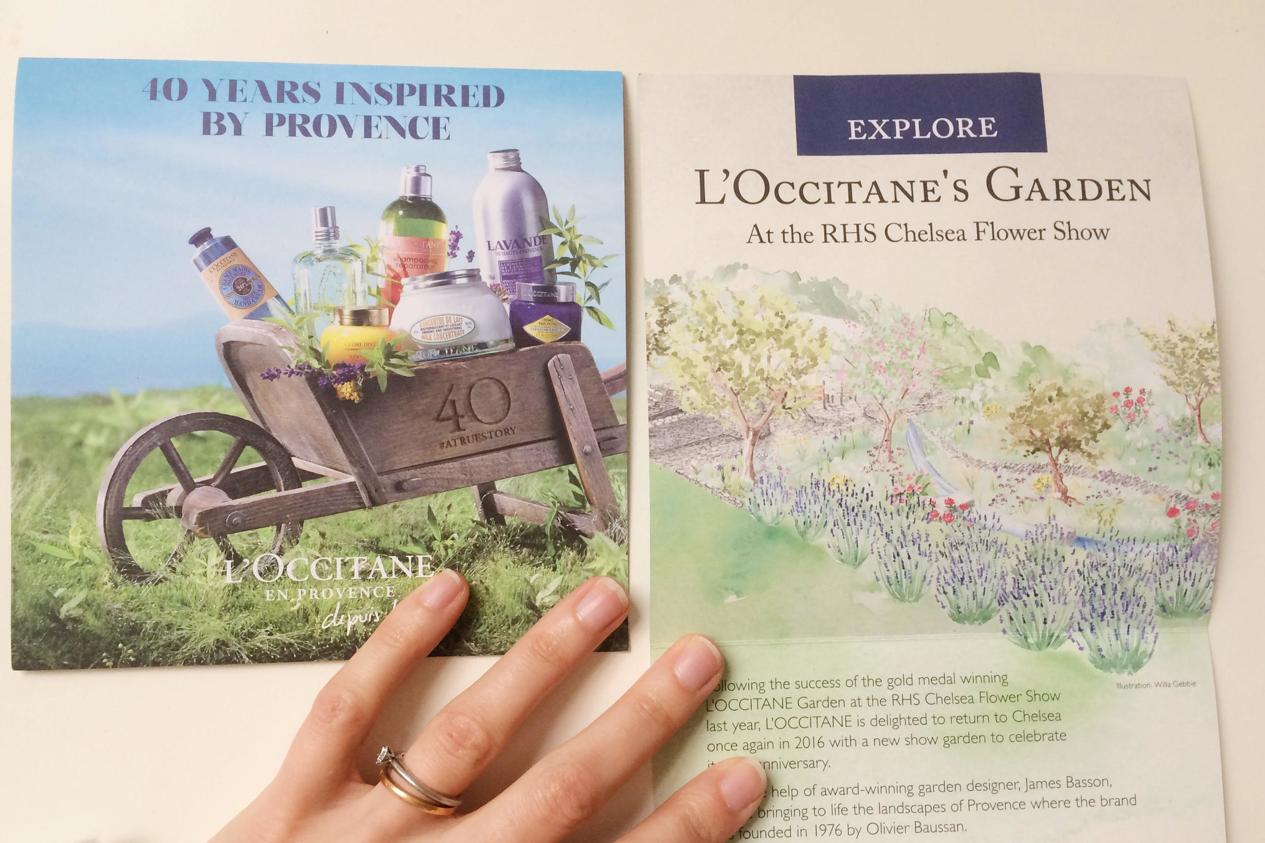 L'Occitanes leaflets featuring Willa Gebbie garden illustration