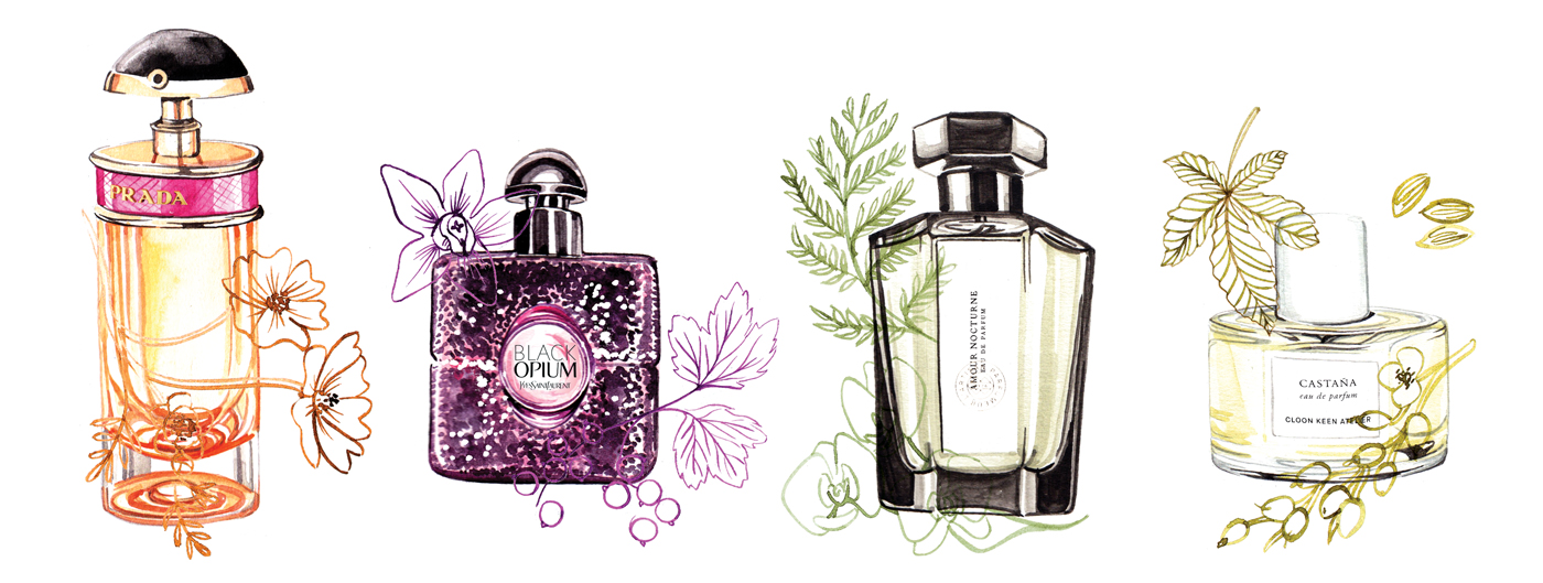 Watercolour perfume illustrations by Willa Gebbie