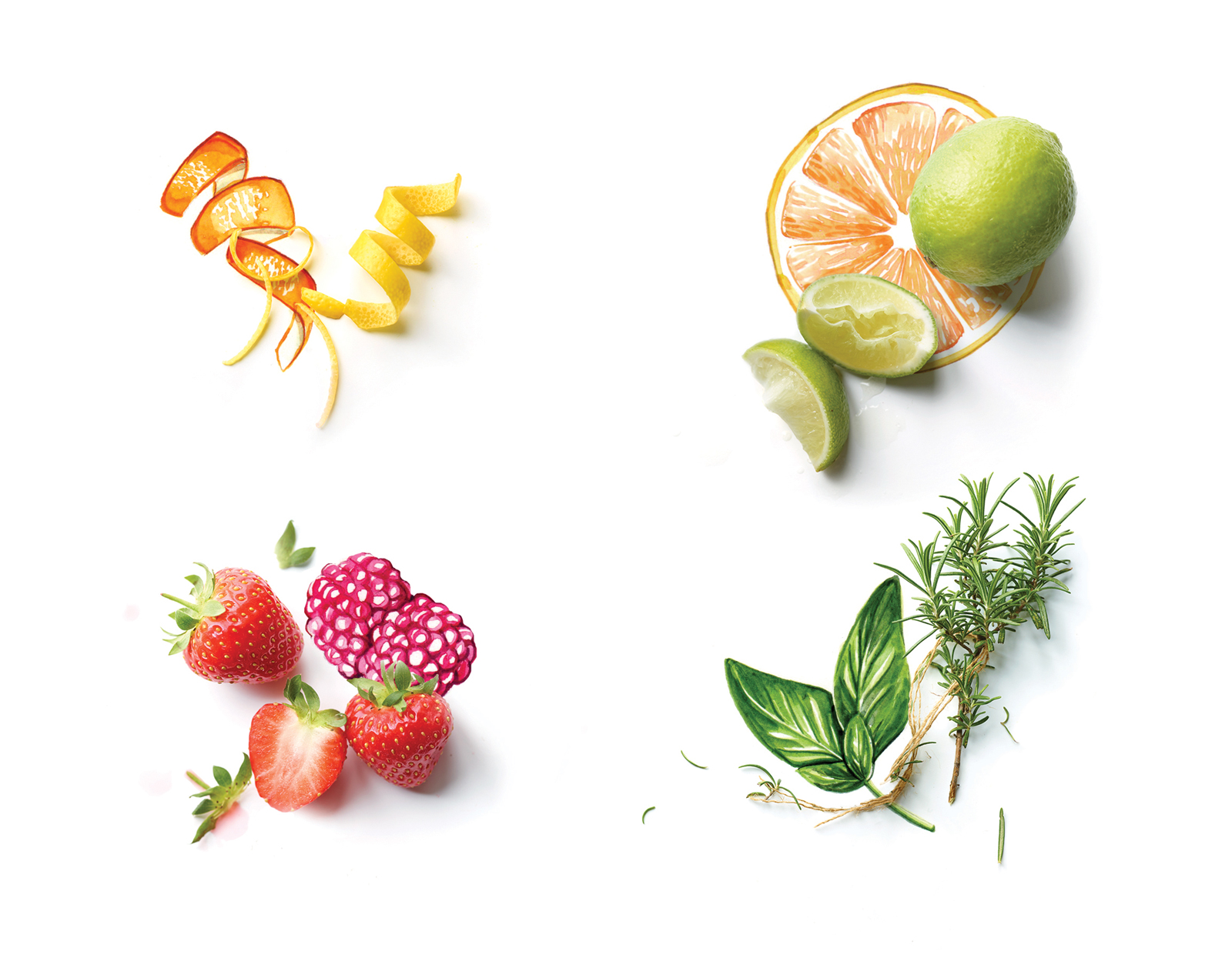 Willa Gebbie food illustration for Waitrose magazine with photography