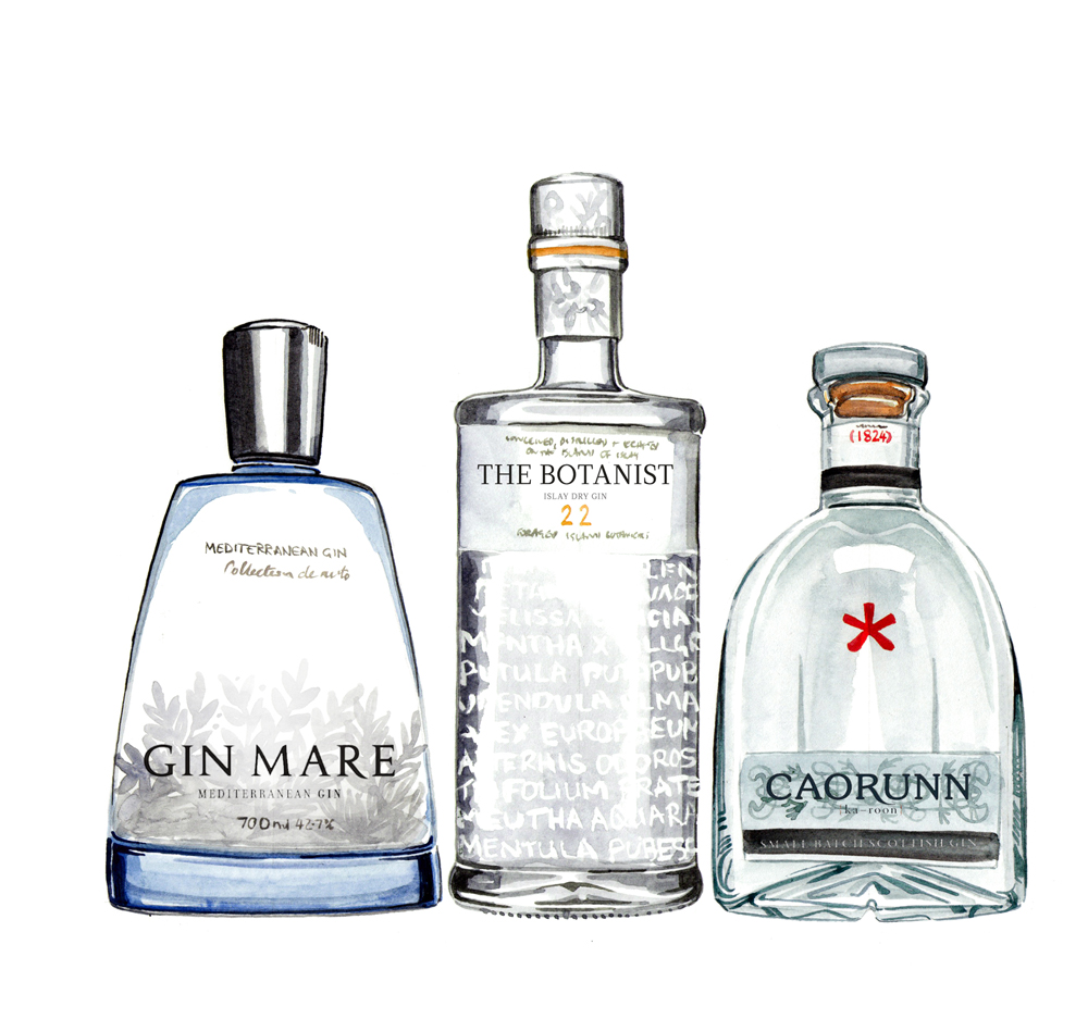 Willa Gebbie watercolour food and drink illustration; gin bottles for Waitrose magazine