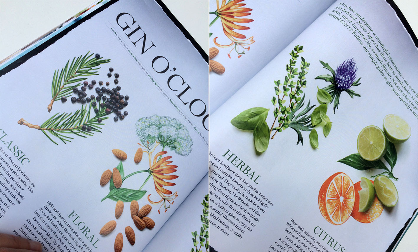 Food Illustrations commissioned by Waitrose magazine
