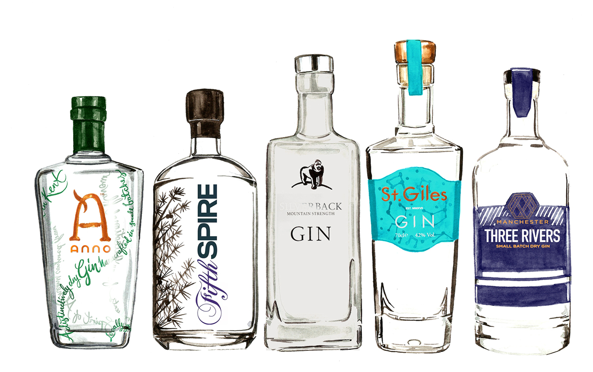 Watercolour gin bottles, food and drink illustration by Willa Gebbie