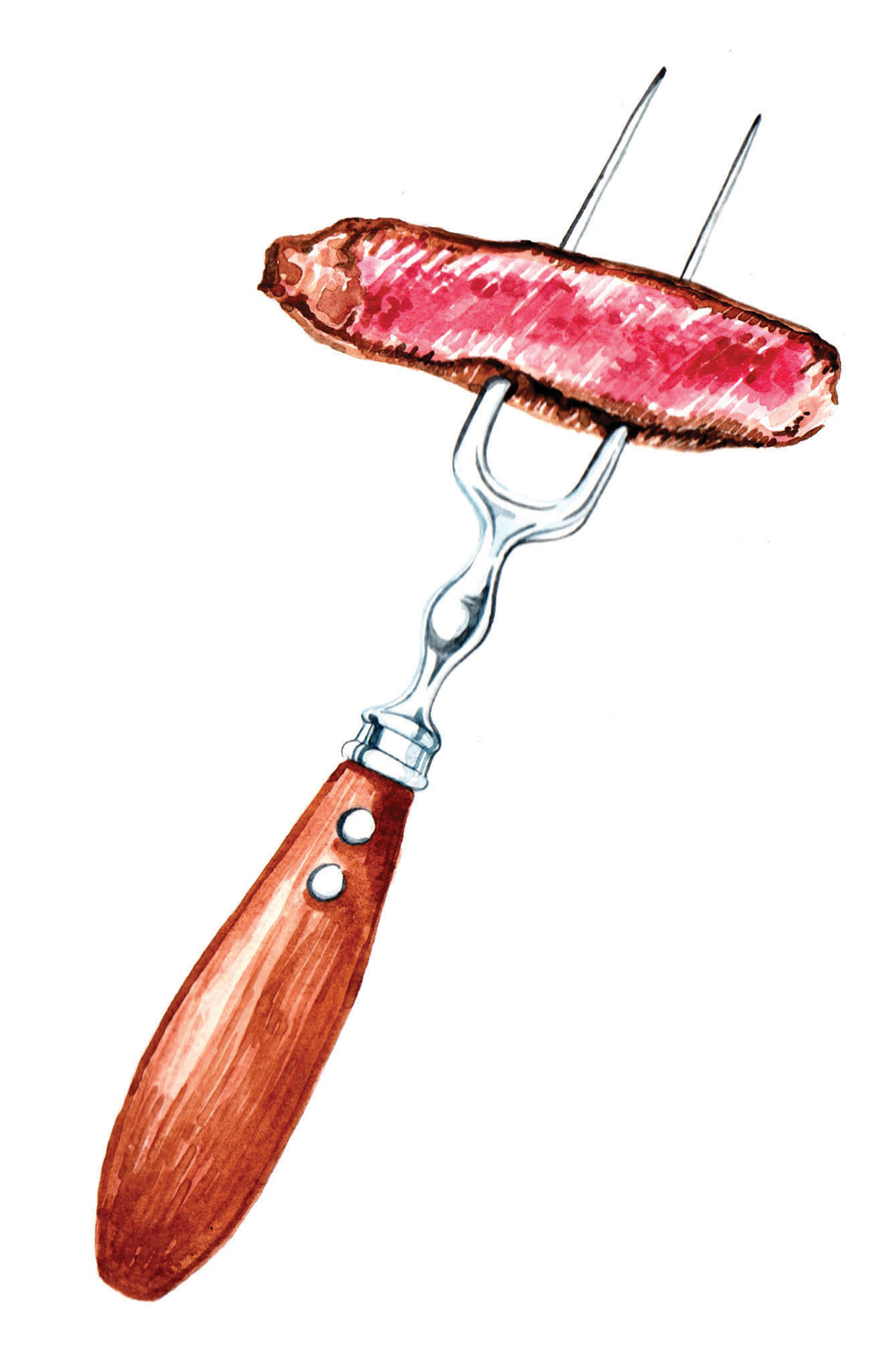 watercolour food illustrations steak on fork