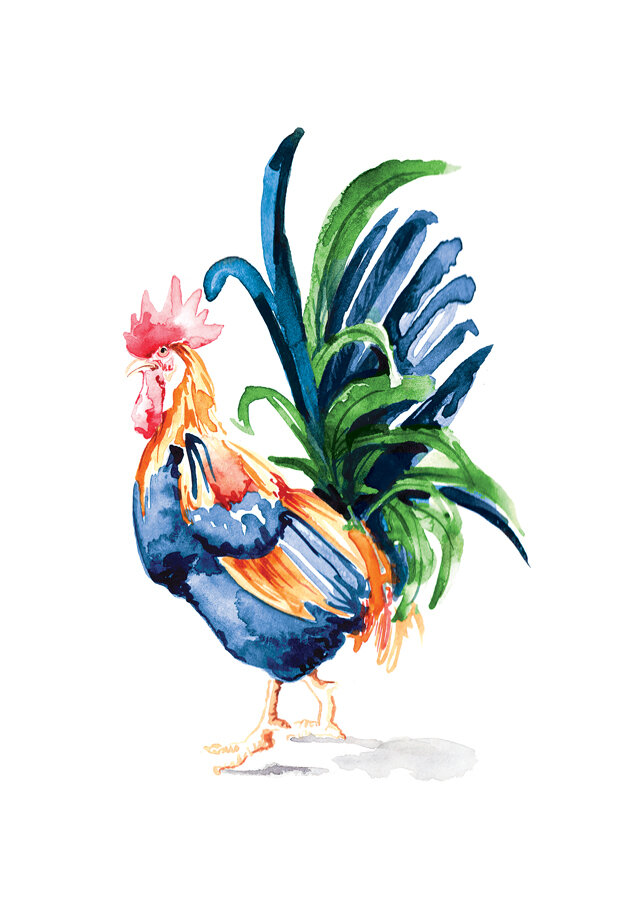 rooster-watercolour_v6-copy (1).jpg