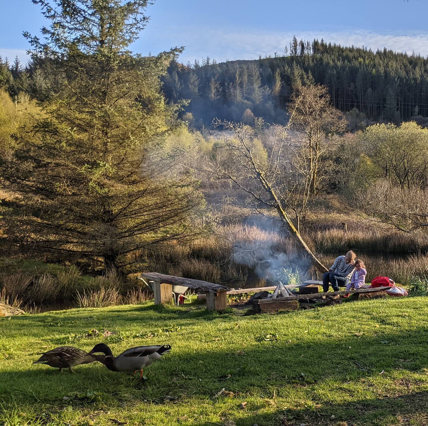 I'm back from the most wonderful farm stay holiday in Wales. What a treat after a year pretty much confined to the city. 
Holidays aren't quite as relaxing as they once were, with a toddler in tow, but the resident chickens and friendly farm cat prov