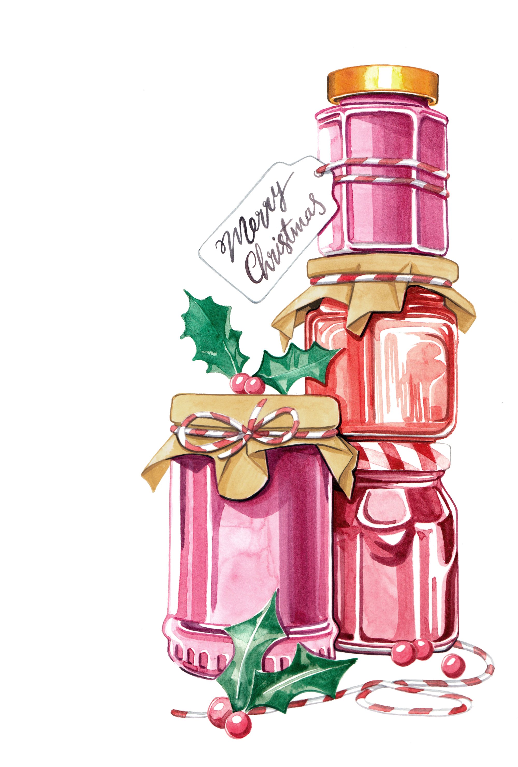 Christmas jam illustrations in watercolour by Willa Gebbie