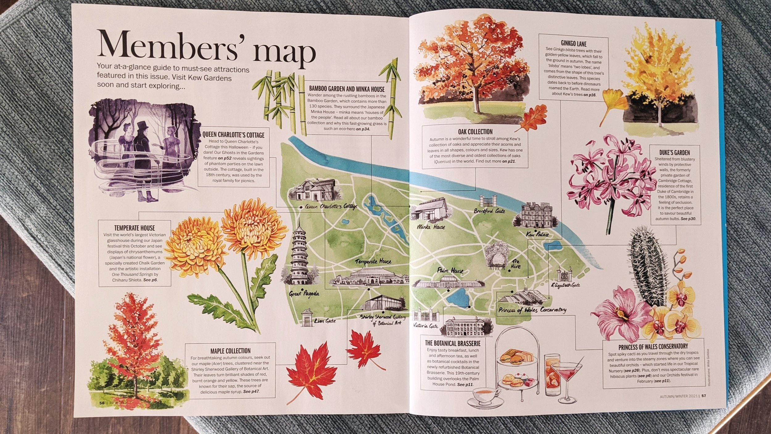 Kew magazine Members Map - map illustration by WIlla Gebbie
