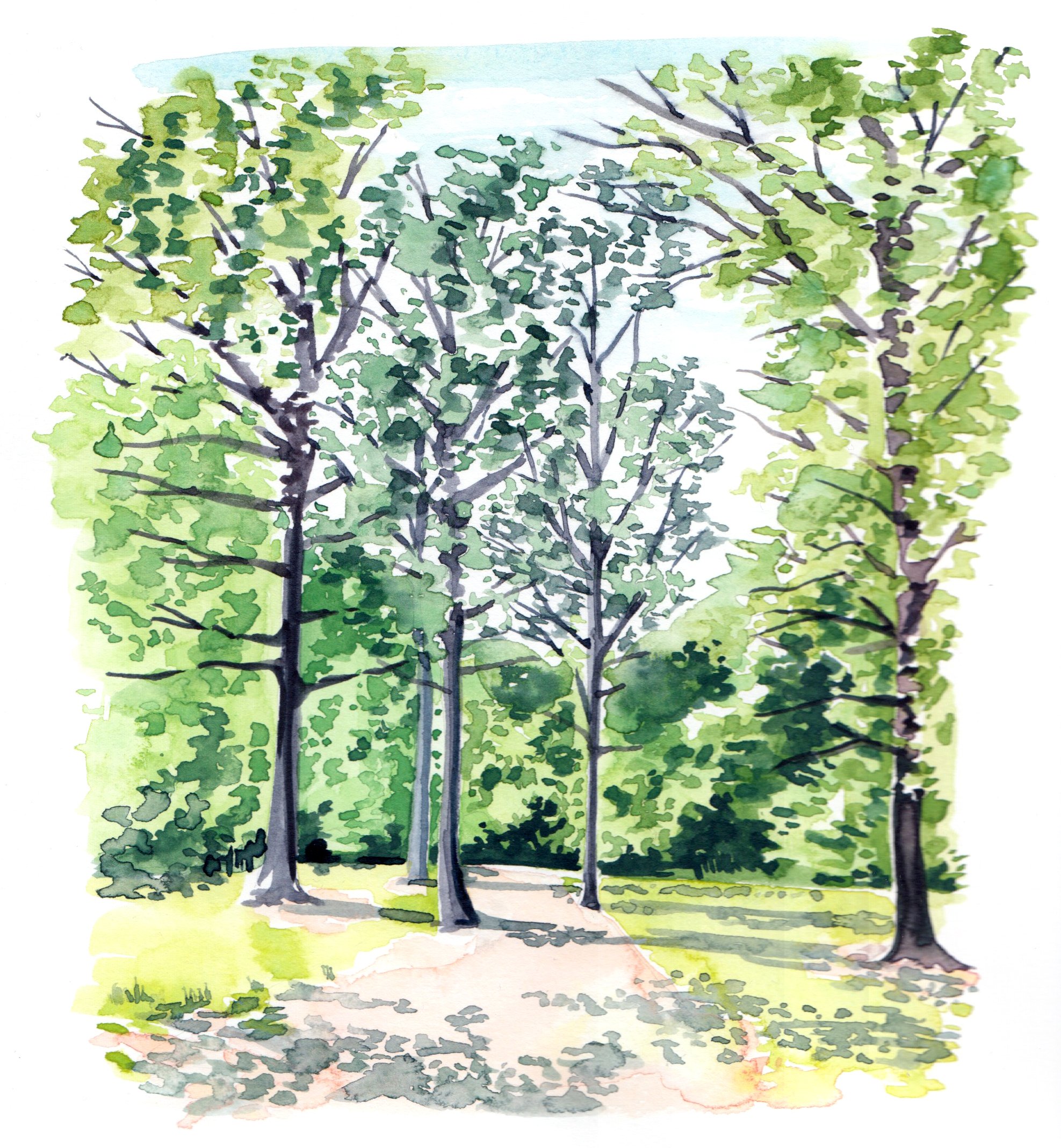 Watercolour landscape illustration for Kew Gardens by Willa Gebbie