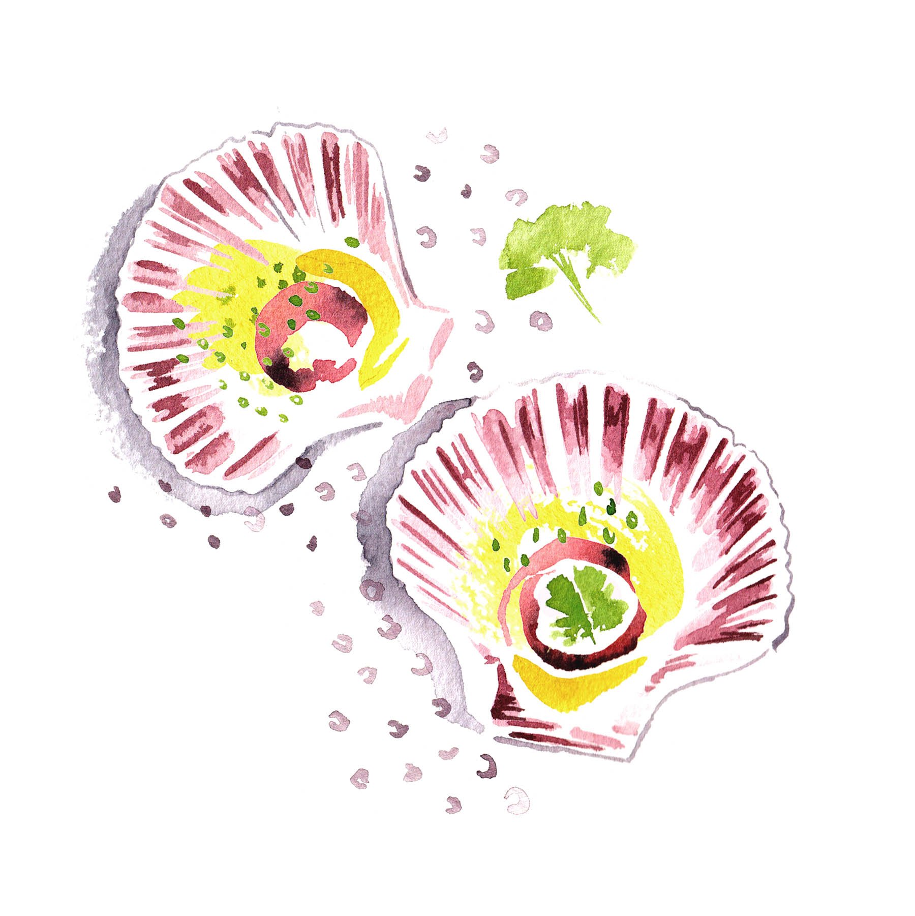 watercolour seafood food illustration menu Tamarind by illustrator Willa Gebbie