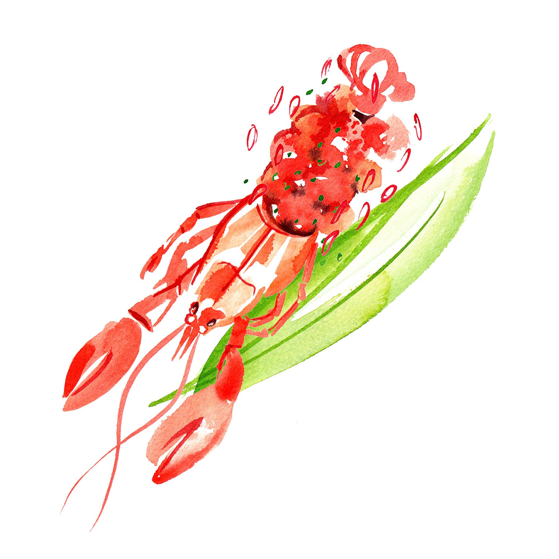 watercolour seafood food illustration menu Tamarind by illustrator Willa Gebbie