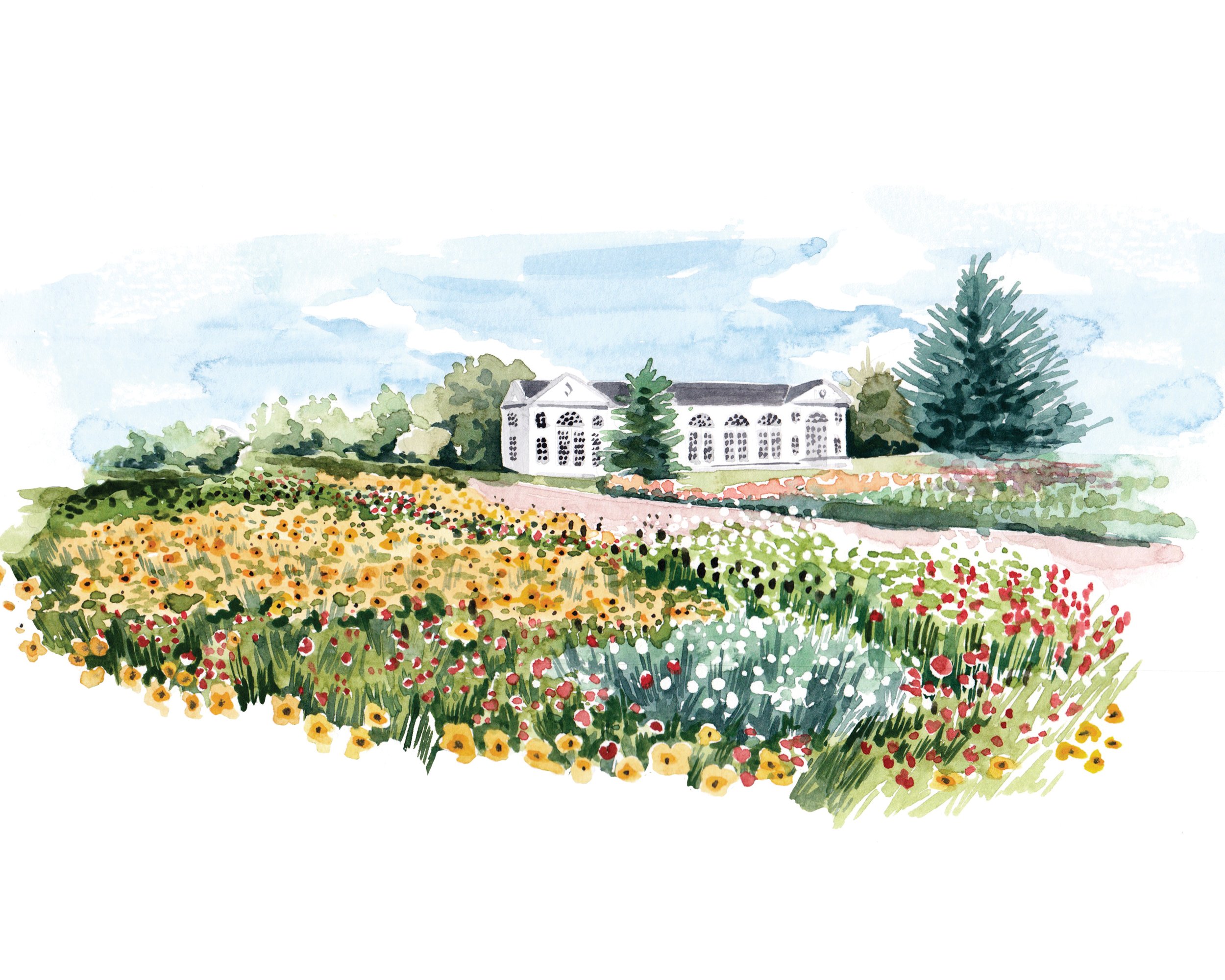 watercolour landscape garden illustration for Kew by Willa Gebbie
