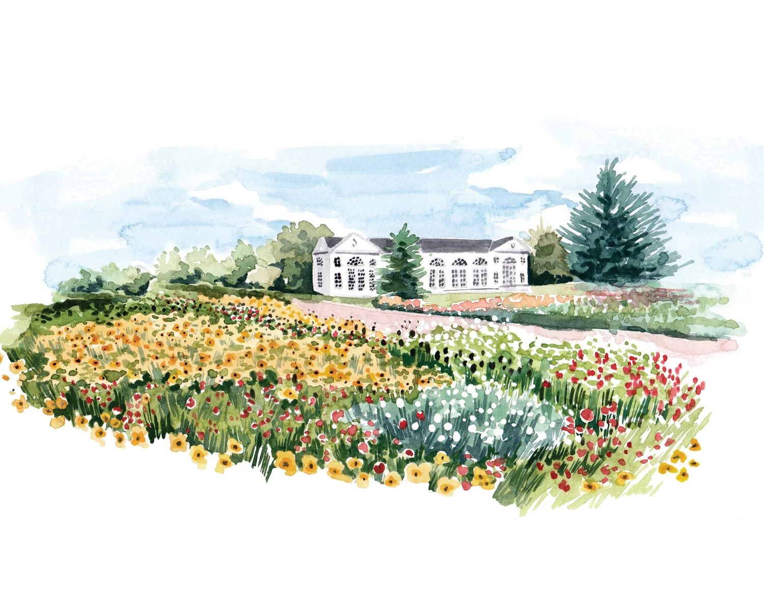 Botanical illustrations for Royal Botanic Gardens at Kew magazine ...