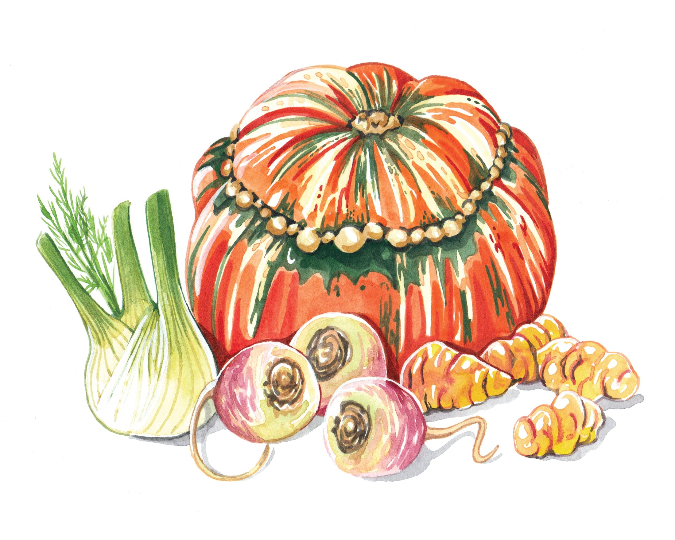 watercolour autumn food illustration for Kew by Willa Gebbie