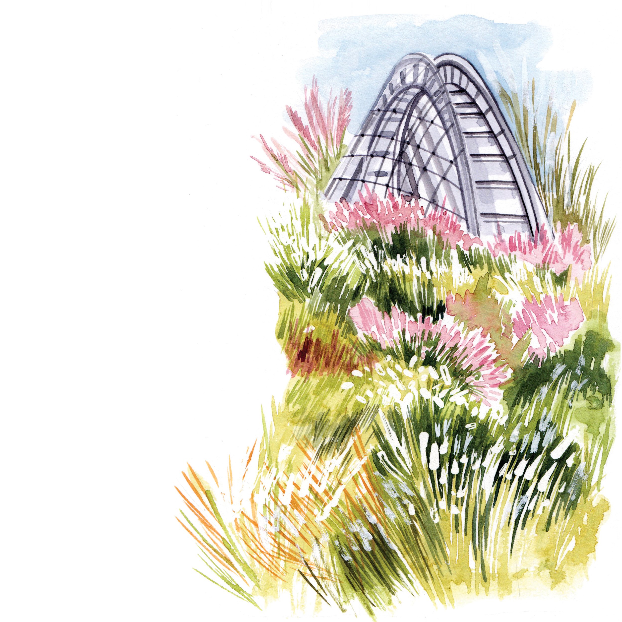 watercolour garden landscape illustration for Kew by Willa Gebbie
