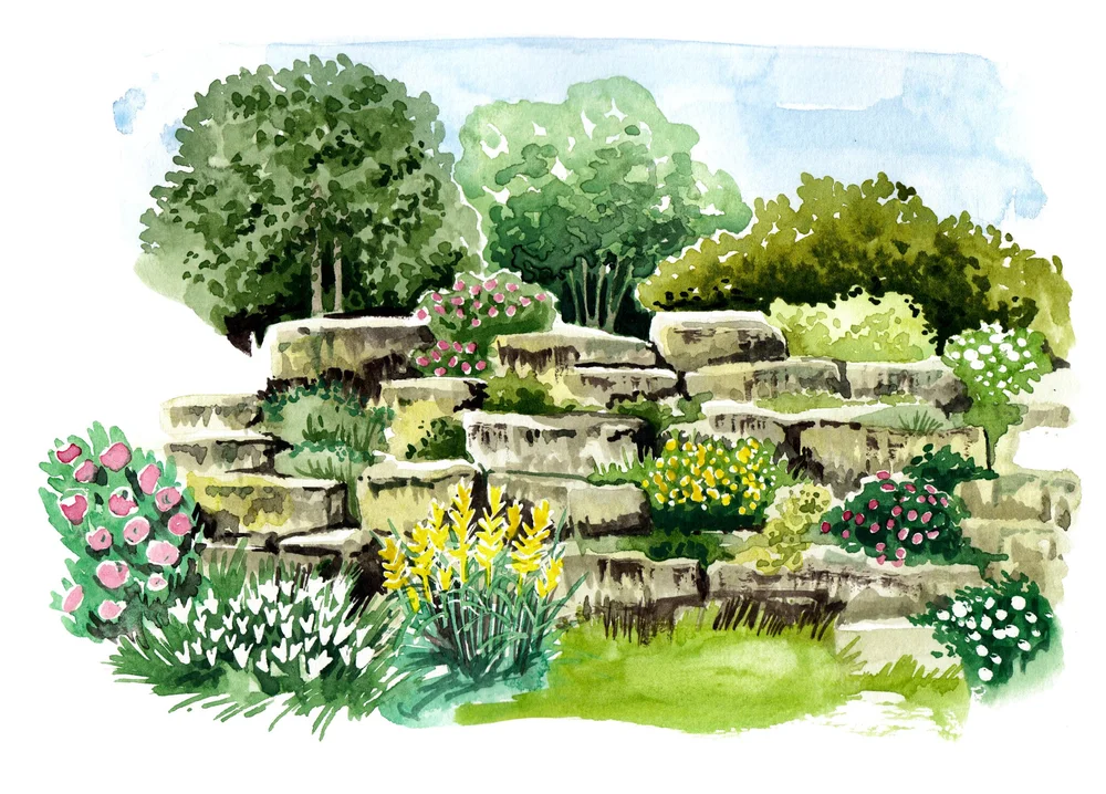Spring illustrations for Royal Botanic Gardens at Kew magazine — Willa ...