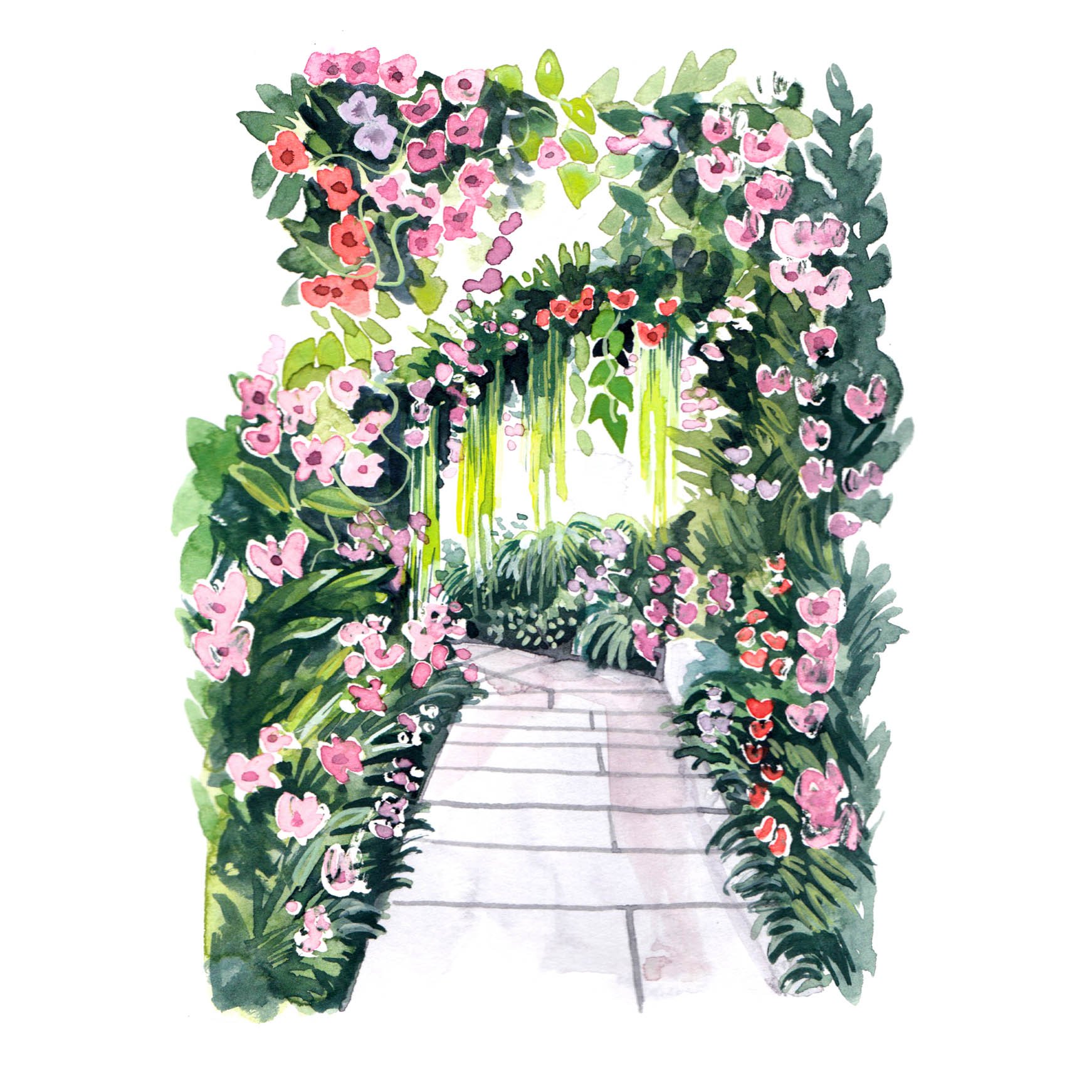 Orchid Festival: landscape watercolour illustrations for Kew Gardens magazine