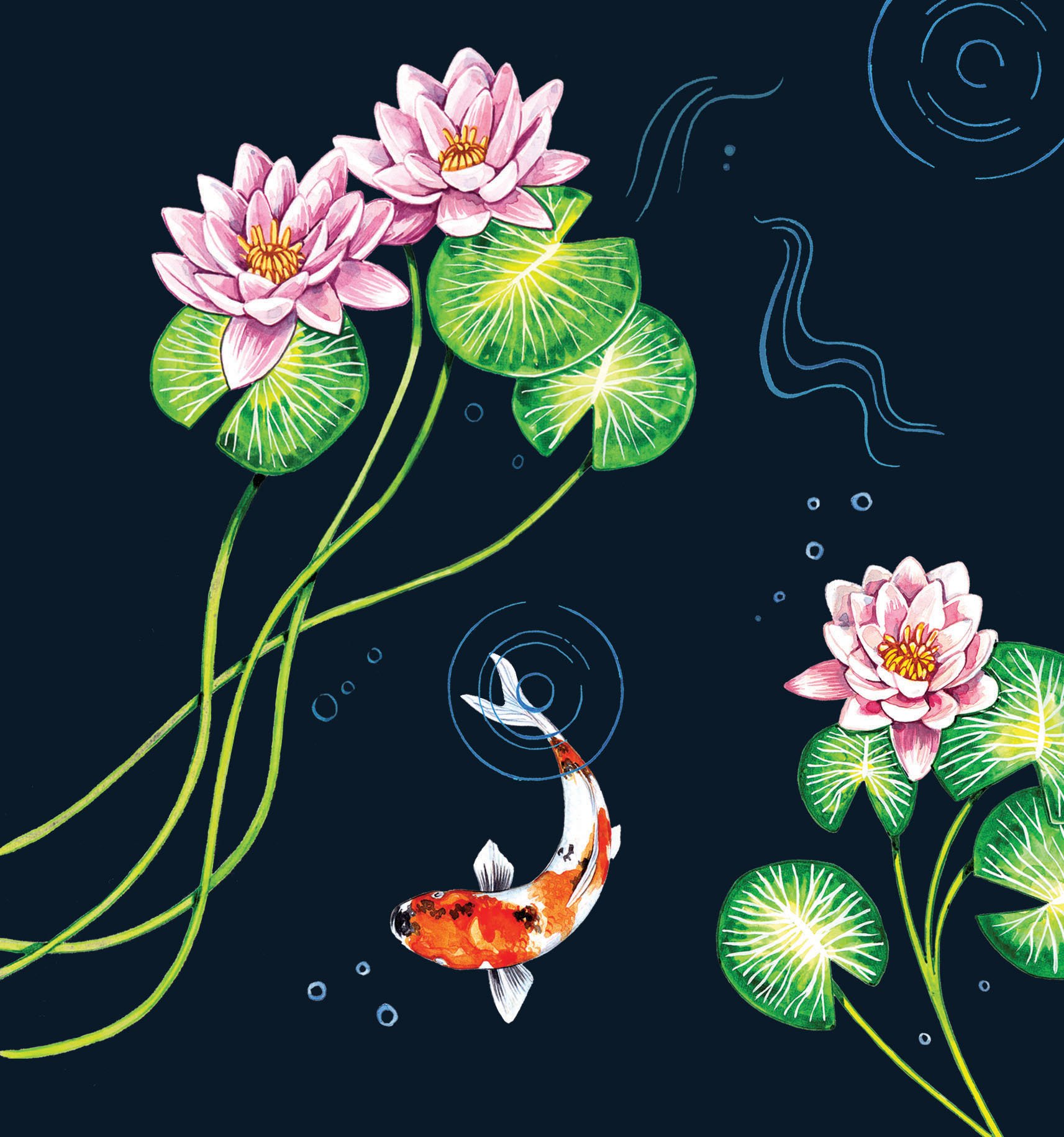 watercolour illustration koi carp - willa gebbie