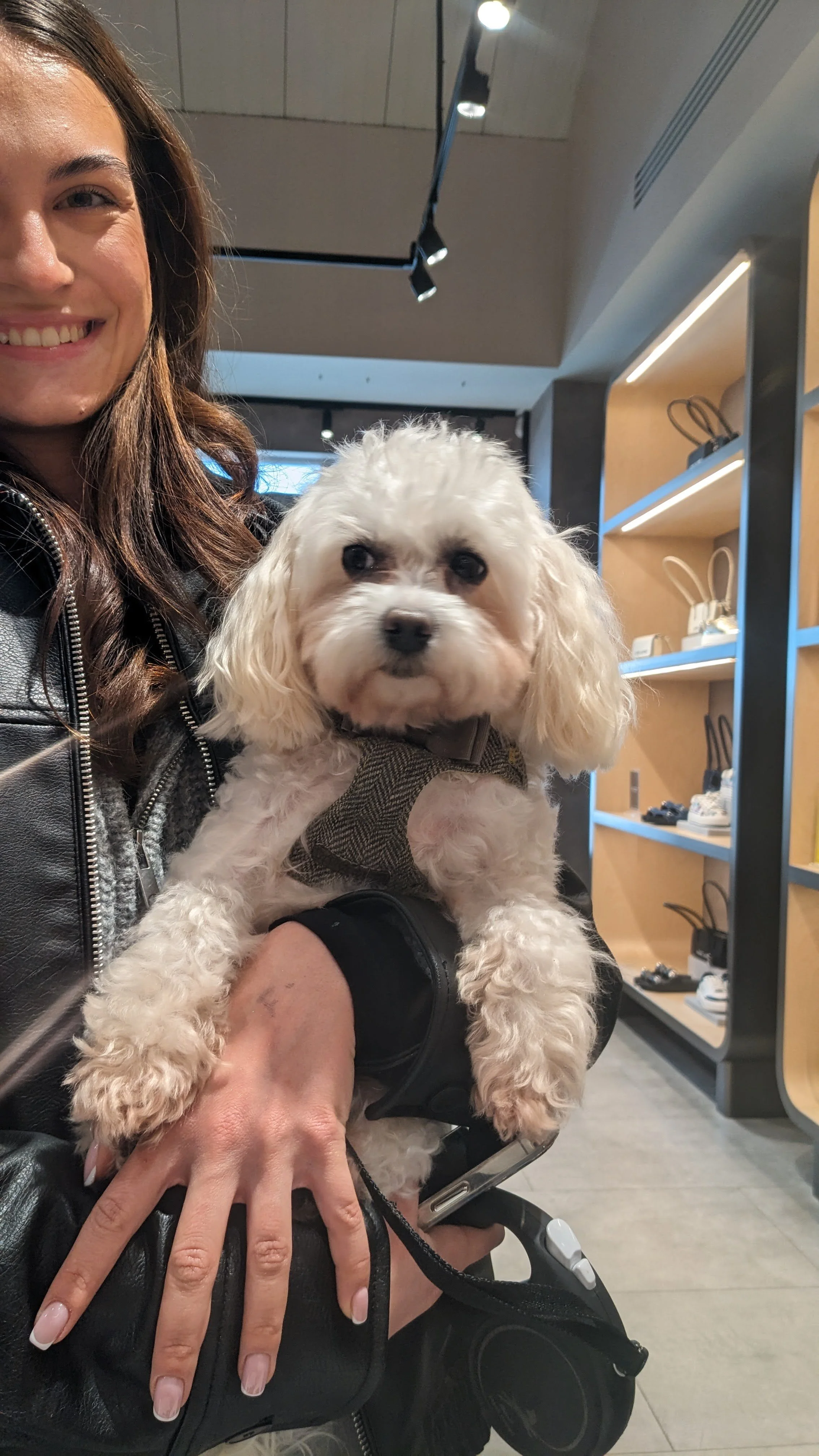 Leather painting - pet portraits for Marc Jacobs