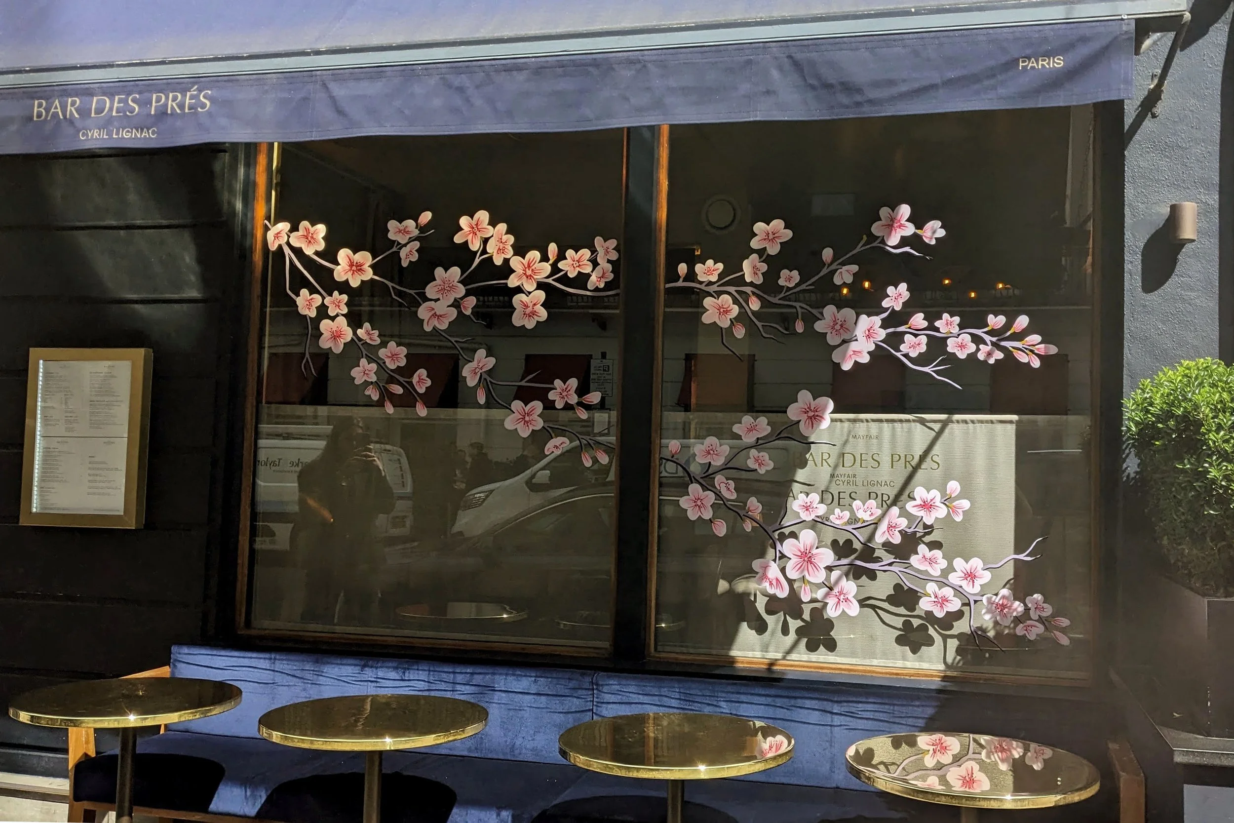 Hand-Painted Blossom Window for Bar Des Prés, Mayfair | London Window Painting