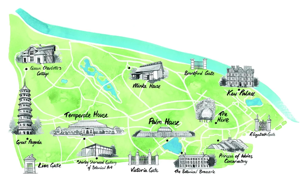 Christmas At Kew Map Member's Map -An Illustrated Map Of Kew Gardens By Willa Gebbie — Willa  Gebbie | Watercolour Food, Portrait And Lifestyle Illustration