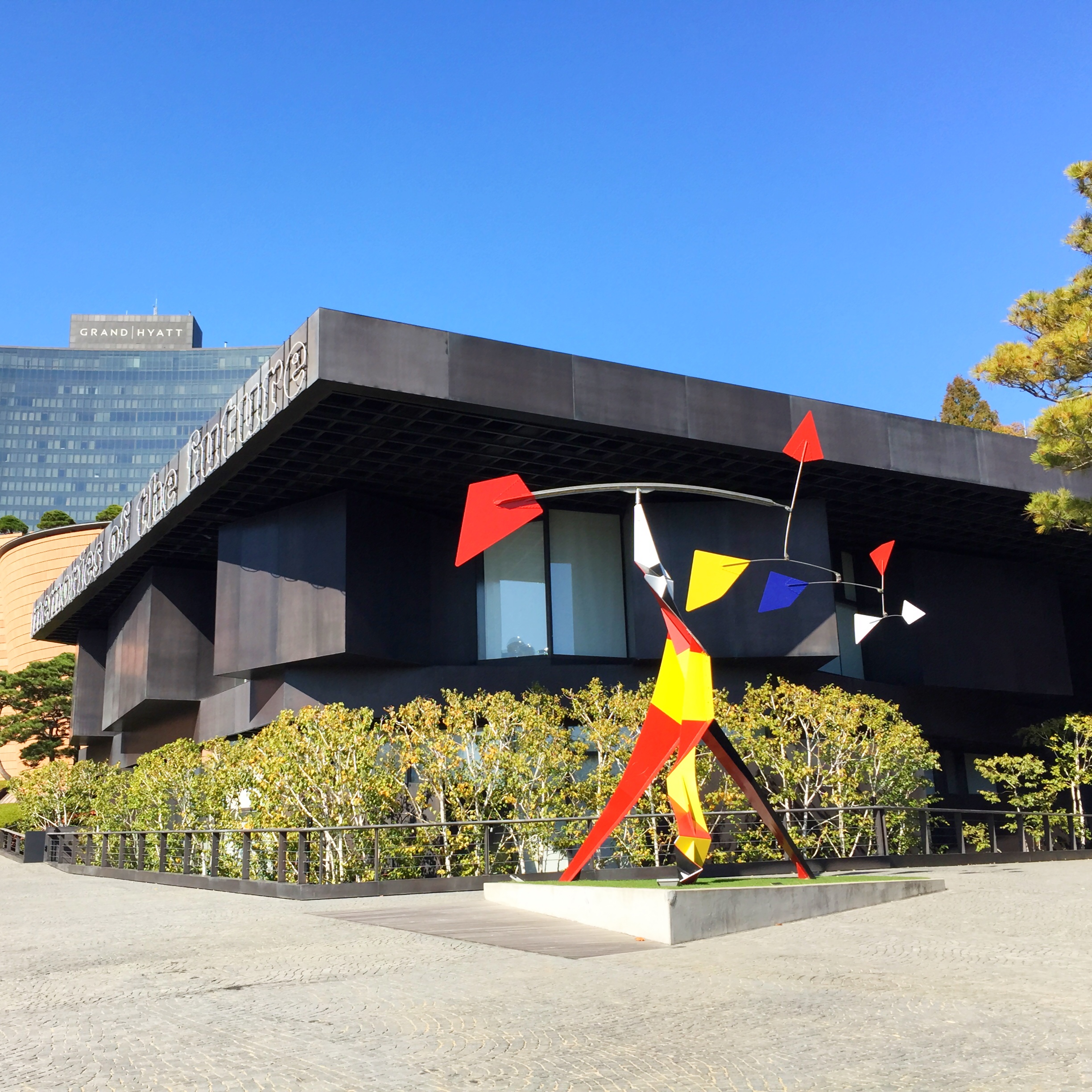 IMG_5036.JPG